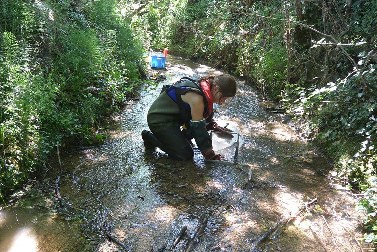 prestations eccel environnement aquitaine