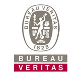 logo bureau veritas