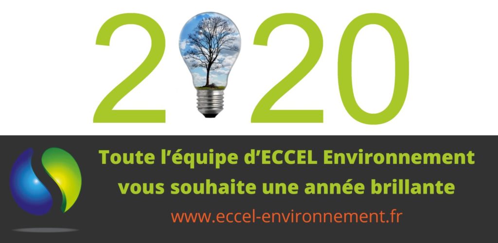 Vœux de bonne année ECCEL Environnement